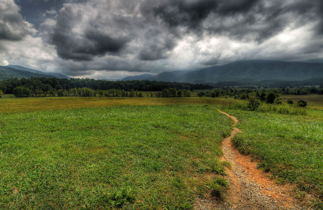 Обои картинки фото природа, дороги, сумрак, тучи, лес, трава, поле, дорога