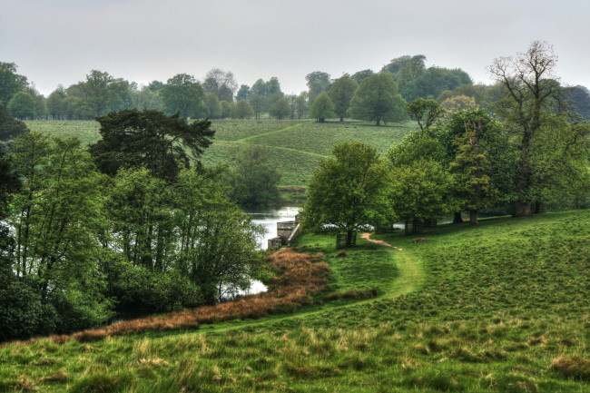 Обои картинки фото природа, реки, озера, трава, луга, деревья, река