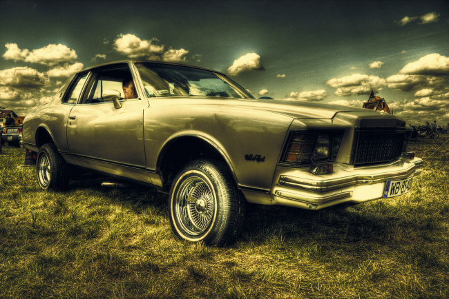 Обои картинки фото автомобили, выставки, уличные, фото, газон