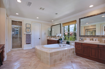 Картинка интерьер ванная+и+туалетная+комнаты дизайн стиль ванная цветы