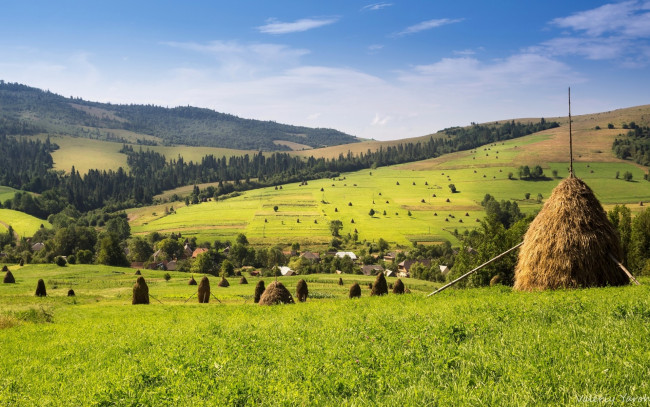 Обои картинки фото природа, поля, лес, сено, поле, деревня, копна