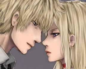 Картинка аниме durarara ворона шизуо