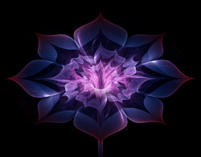 Картинка 3д+графика цветы+ flowers цвета узор фон