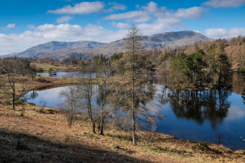 Картинка природа реки озера река лес