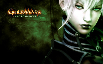 Картинка видео+игры guild+wars mmo guild wars gw necromancer