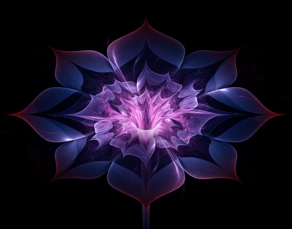 Обои картинки фото 3д графика, цветы , flowers, цвета, узор, фон