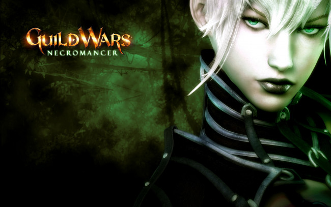 Обои картинки фото видео игры, guild wars, mmo, guild, wars, gw, necromancer