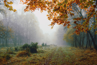 Картинка природа дороги простор