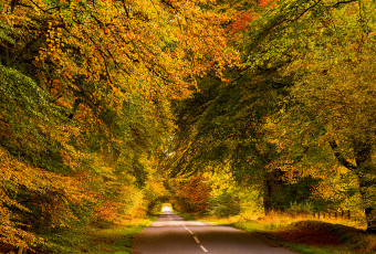 Картинка природа дороги простор