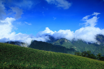 Картинка природа горы луга облака небо трава