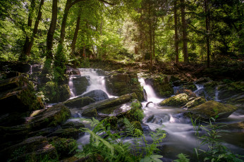 Картинка природа реки озера простор