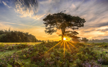 Картинка природа восходы закаты простор