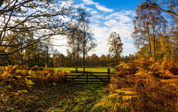 Картинка природа пейзажи простор