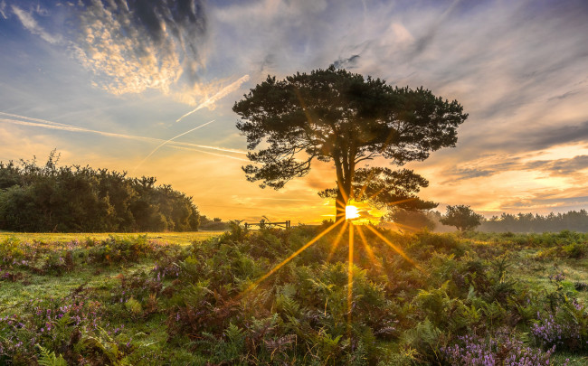 Обои картинки фото природа, восходы, закаты, простор