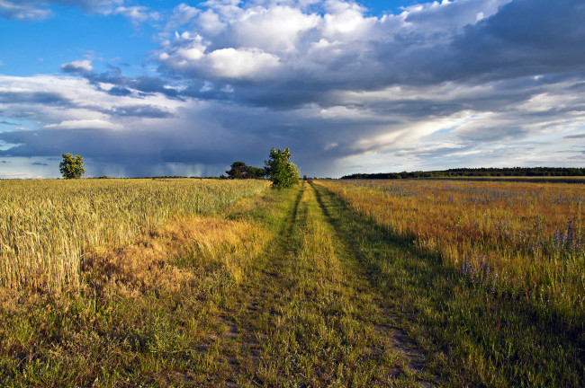 Обои картинки фото природа, дороги, простор