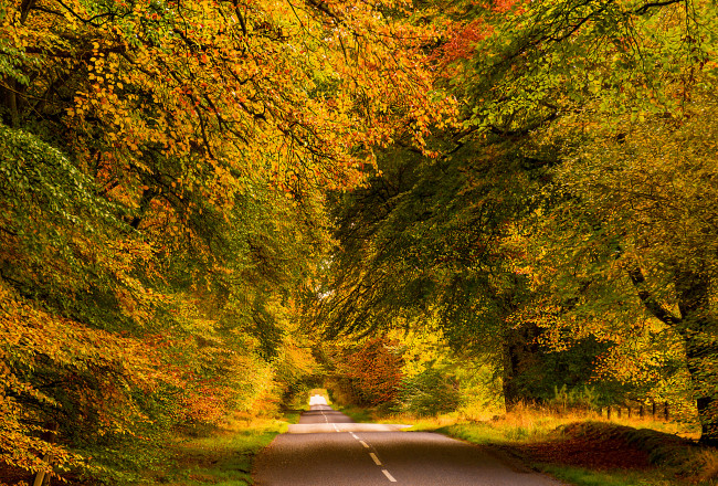 Обои картинки фото природа, дороги, простор