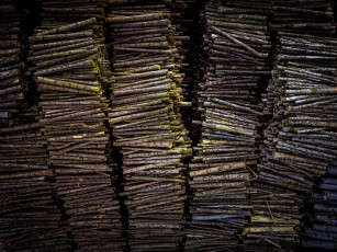 Картинка разное текстуры брёвна дрова фон