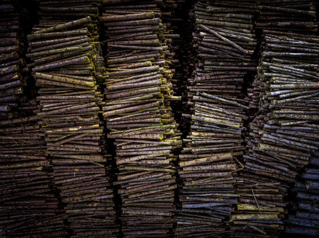 Обои картинки фото разное, текстуры, брёвна, дрова, фон