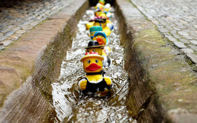 Обои картинки фото разное, игрушки