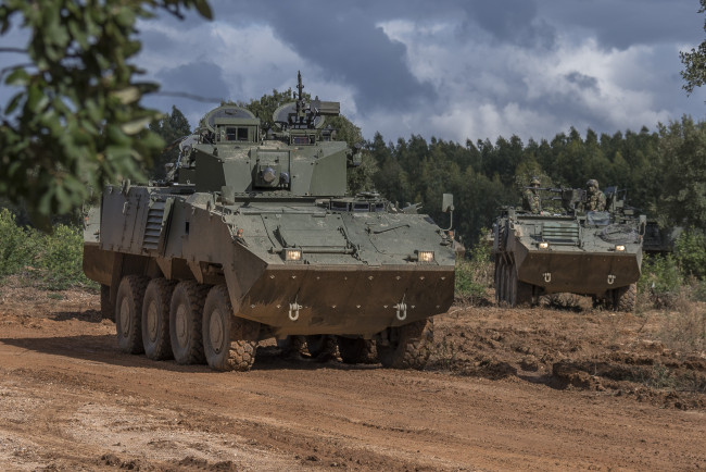 Обои картинки фото техника, военная техника, pandur