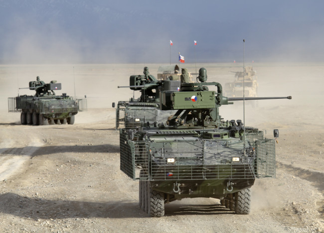 Обои картинки фото техника, военная техника, pandur