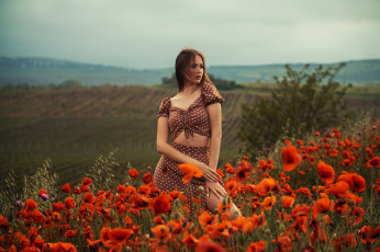 Картинка девушки -+брюнетки +шатенки девушка красивая супер секси няша нежная классная модница лапочка мадам