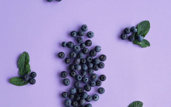 Обои картинки фото еда, голубика,  черника, черника