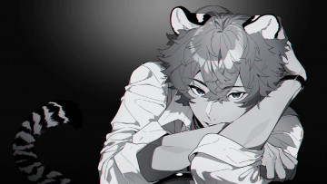 Картинка аниме животные +существа парень ушки хвост