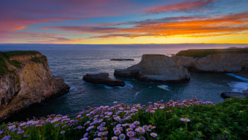 Картинка shark+fin+cove davenport california природа побережье shark fin cove