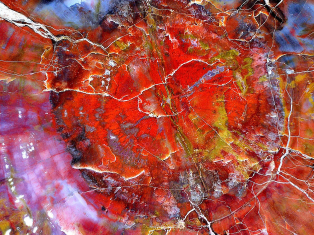 Обои картинки фото 