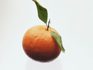 Картинка еда цитрусы