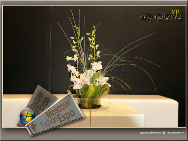 Обои картинки фото windows11, компьютеры, windows, xp