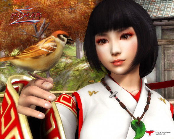 Обои картинки фото ninja, gaiden, sigma, видео, игры