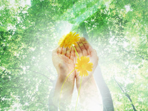 Картинка разное компьютерный дизайн