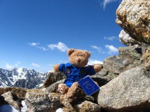 Картинка разное игрушки медвежонок горы