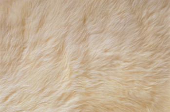 Картинка разное текстуры шкура белый мех
