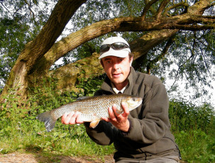 Картинка животные рыбы улов рыба