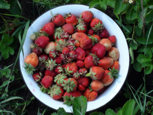 Картинка еда клубника земляника тарелка