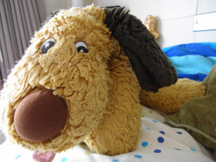 Картинка разное игрушки собачка