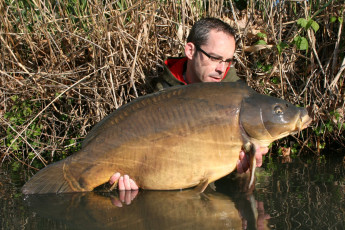 Картинка животные рыбы улов рыба