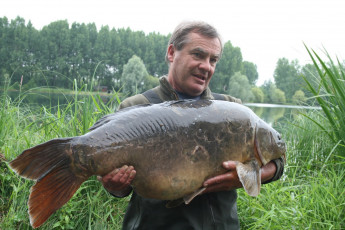 Картинка животные рыбы улов рыба