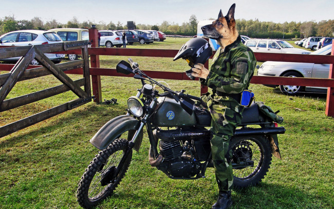 Обои картинки фото юмор, приколы, байкер