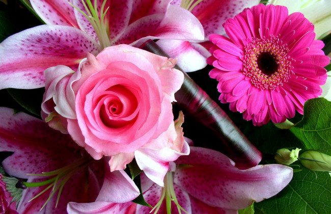 Обои картинки фото цветы, разные, вместе, гербера, роза, лилия