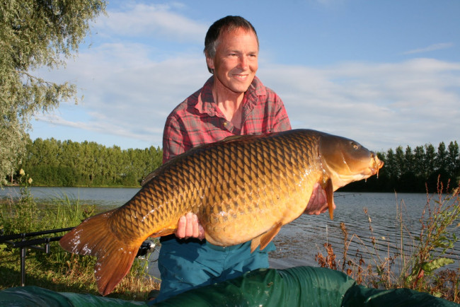 Обои картинки фото животные, рыбы, улов, рыба