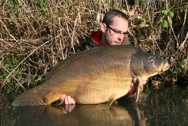 Обои картинки фото животные, рыбы, улов, рыба