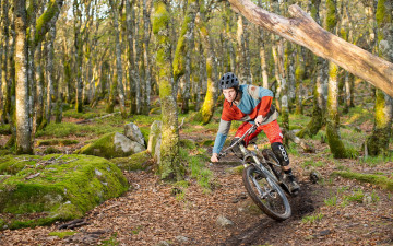 Картинка спорт велоспорт велосипедист лес