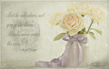 Картинка цветы розы цитата винтаж