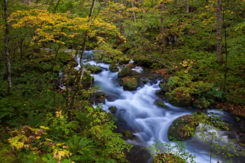 Картинка природа реки озера осень река лес
