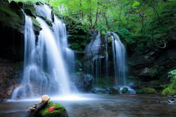 Картинка природа водопады лес водопад река