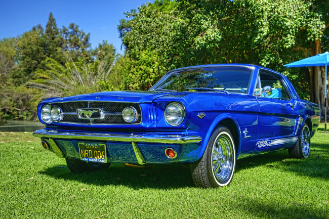 Обои картинки фото mustangs, автомобили, выставки и уличные фото, выставка, автошоу